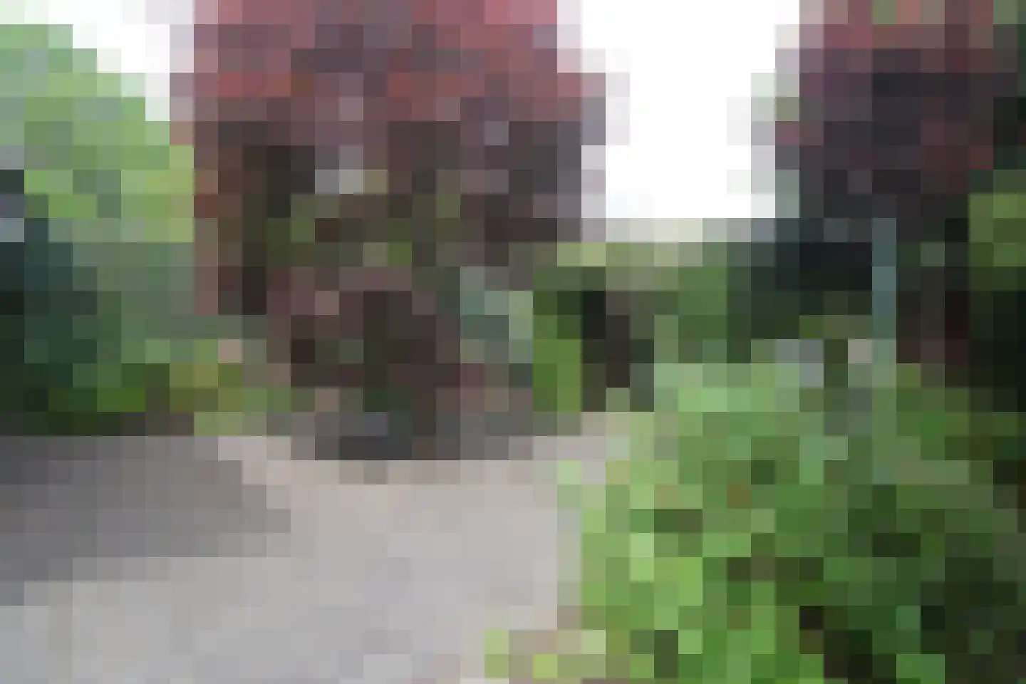 Vonkendaal 120 Maastricht thumbnail 6
