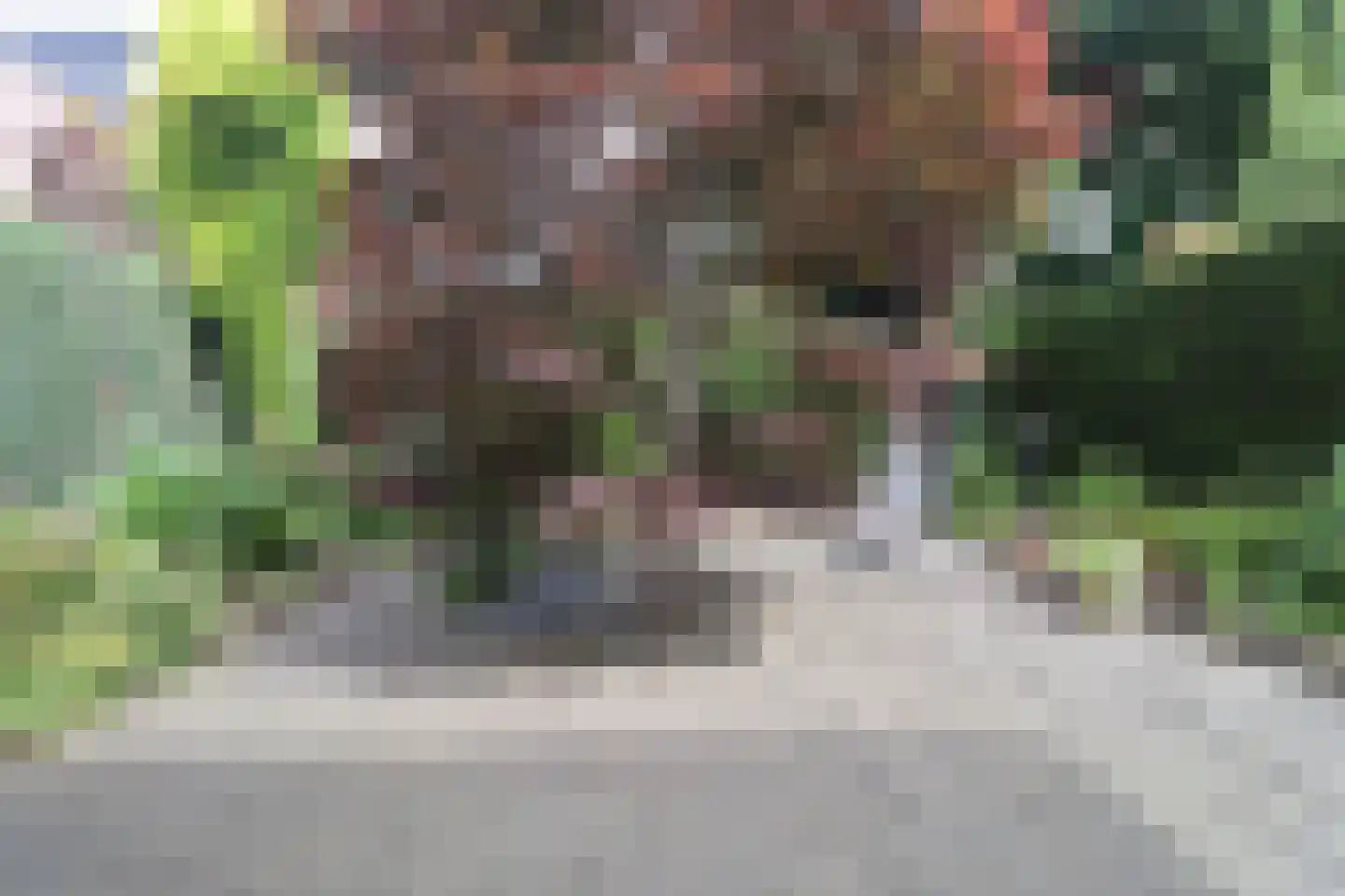 Vonkendaal 120 Maastricht thumbnail 7