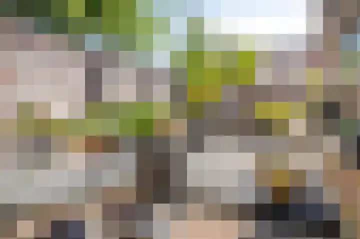 Vonkendaal 131 Maastricht thumbnail 15