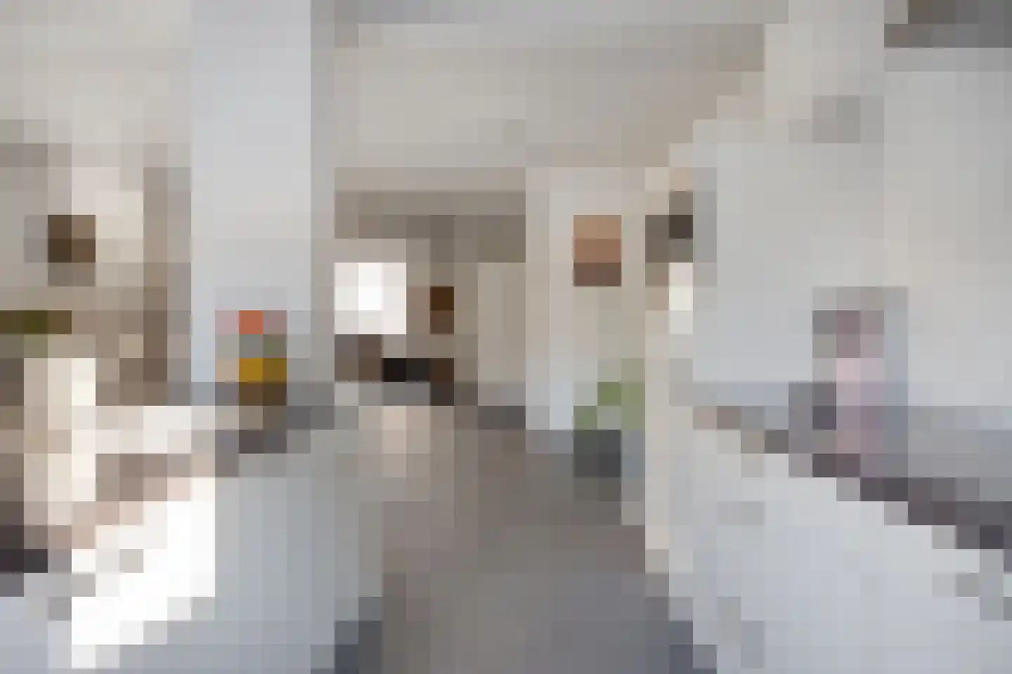 Vonkendaal 33 Maastricht thumbnail 17