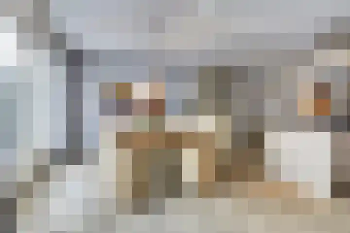 Vonkenwaard 21 's-Hertogenbosch thumbnail 12