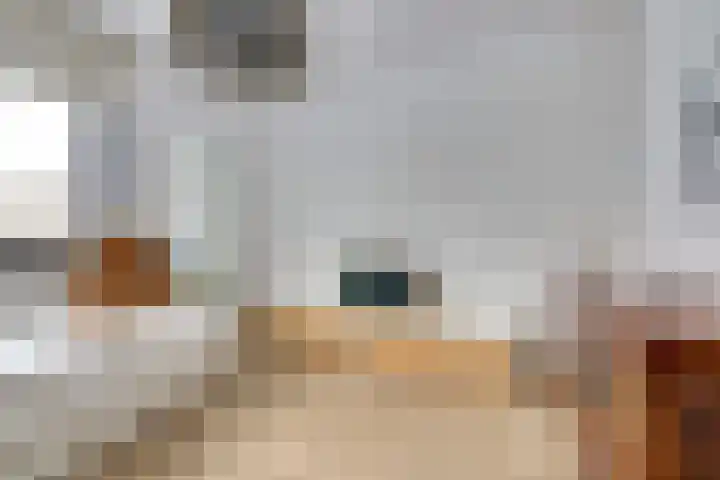 Vonkenwaard 21 's-Hertogenbosch thumbnail 23