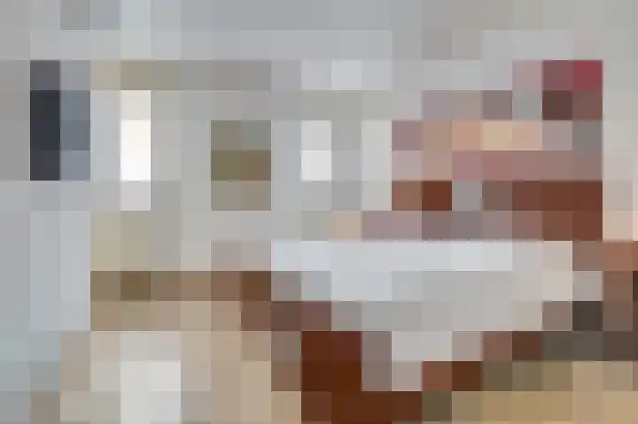 Vonkenwaard 21 's-Hertogenbosch thumbnail 24