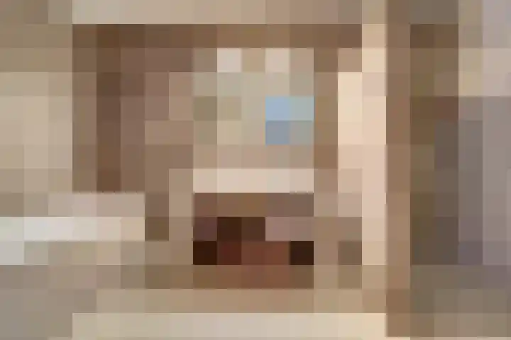 Vonkenwaard 21 's-Hertogenbosch thumbnail 28