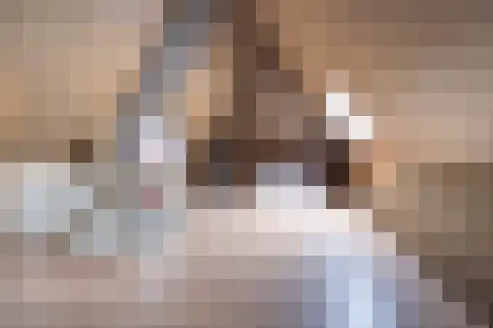 Vonkenwaard 21 's-Hertogenbosch thumbnail 34