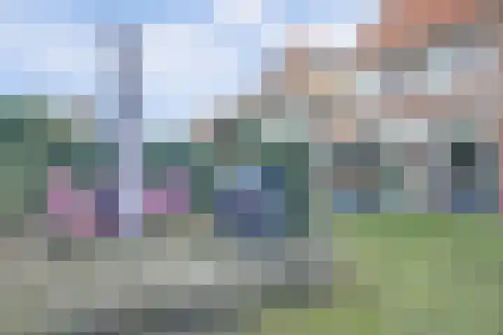 Vonkenwaard 21 's-Hertogenbosch thumbnail 39