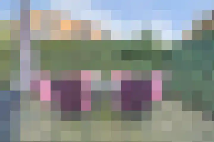 Vonkenwaard 21 's-Hertogenbosch thumbnail 40