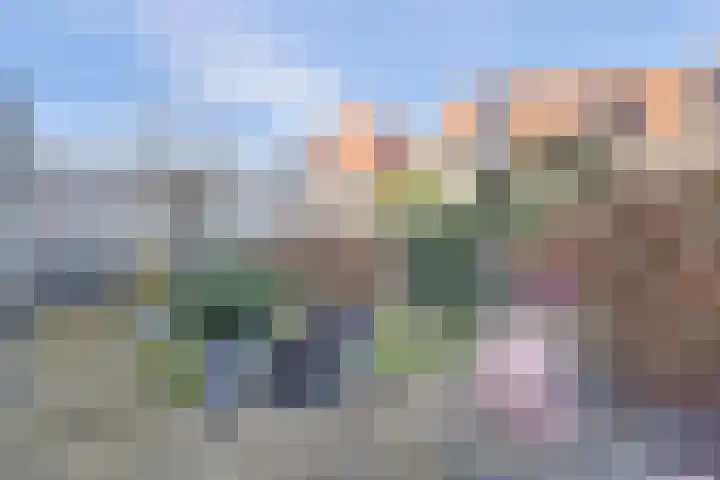 Vonkenwaard 21 's-Hertogenbosch thumbnail 41