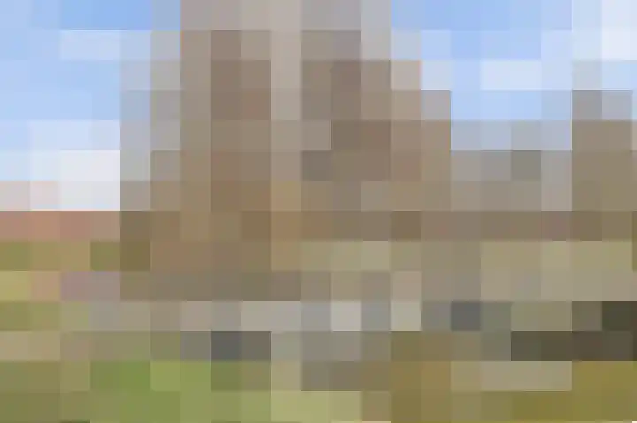 Vonkenwaard 21 's-Hertogenbosch thumbnail 48