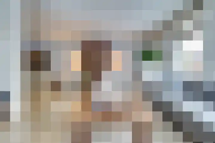 Vonkenwaard 21 's-Hertogenbosch thumbnail 5