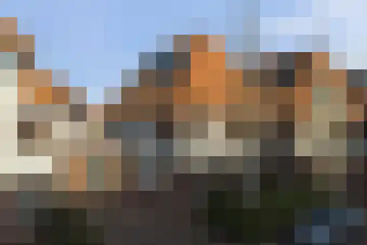 Vonkenwaard 21 's-Hertogenbosch thumbnail 50