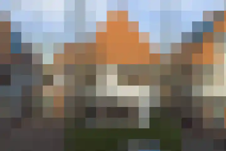 Vonkenwaard 21 's-Hertogenbosch thumbnail 51