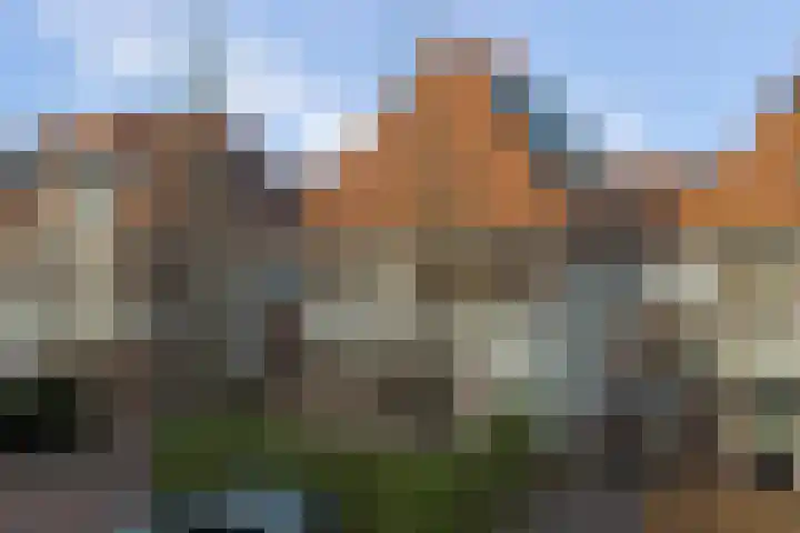 Vonkenwaard 21 's-Hertogenbosch thumbnail 52