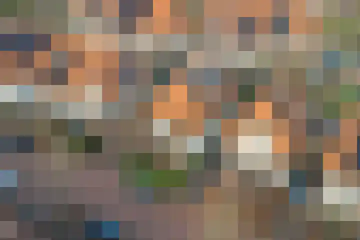 Vonkenwaard 21 's-Hertogenbosch thumbnail 53