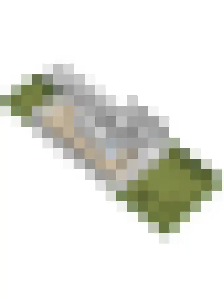 Vonkenwaard 21 's-Hertogenbosch thumbnail 67