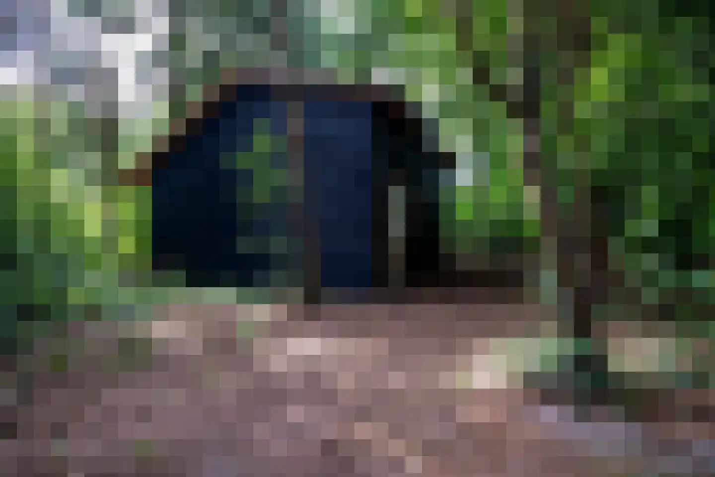 Vonkslaan 37 A Bellingwolde thumbnail 11