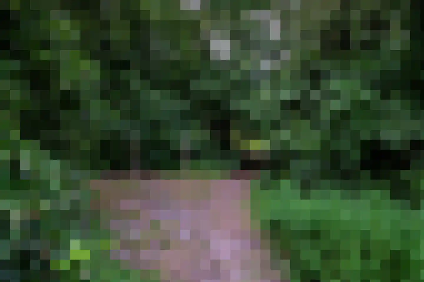 Vonkslaan 37 A Bellingwolde thumbnail 12