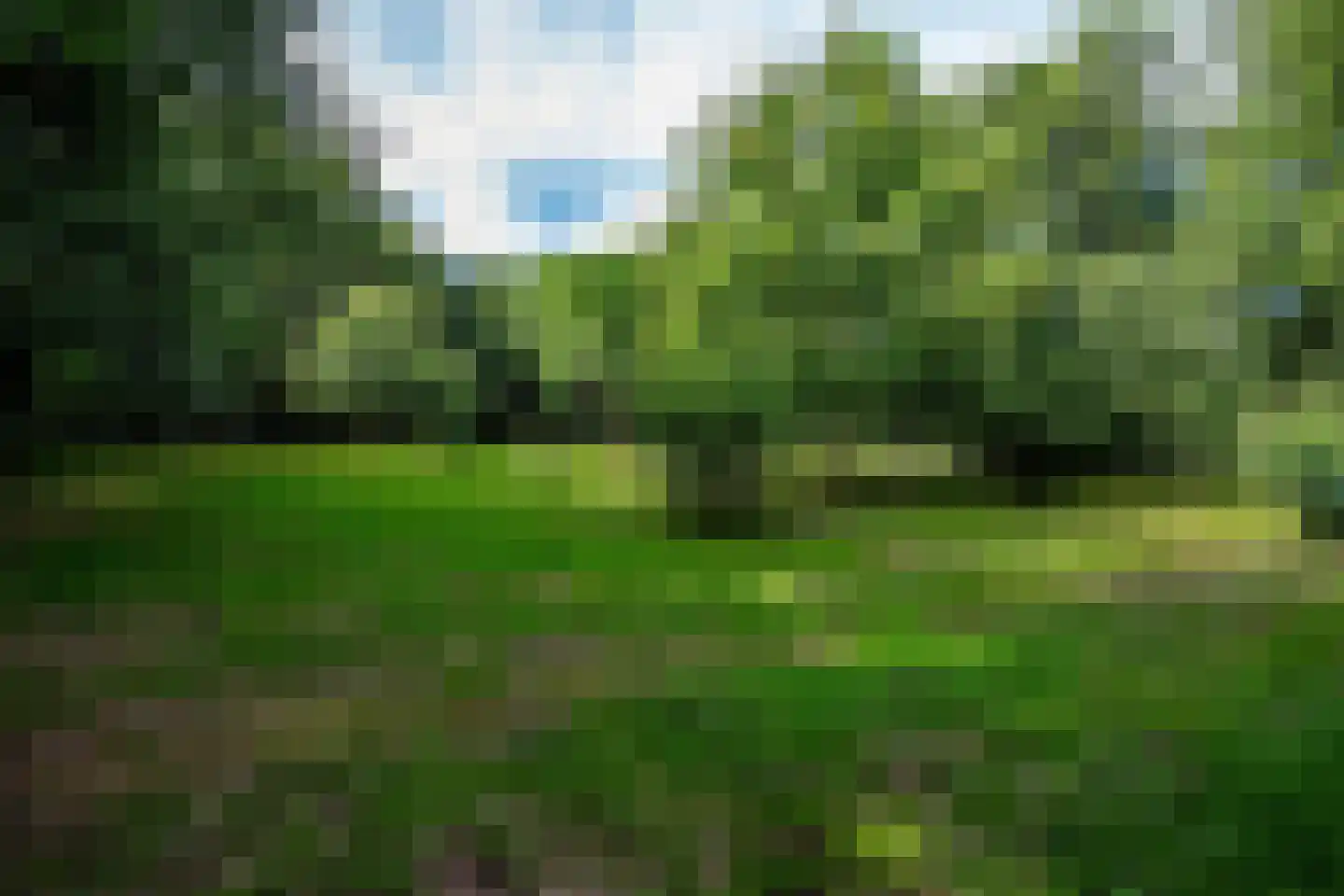 Vonkslaan 37 A Bellingwolde thumbnail 13