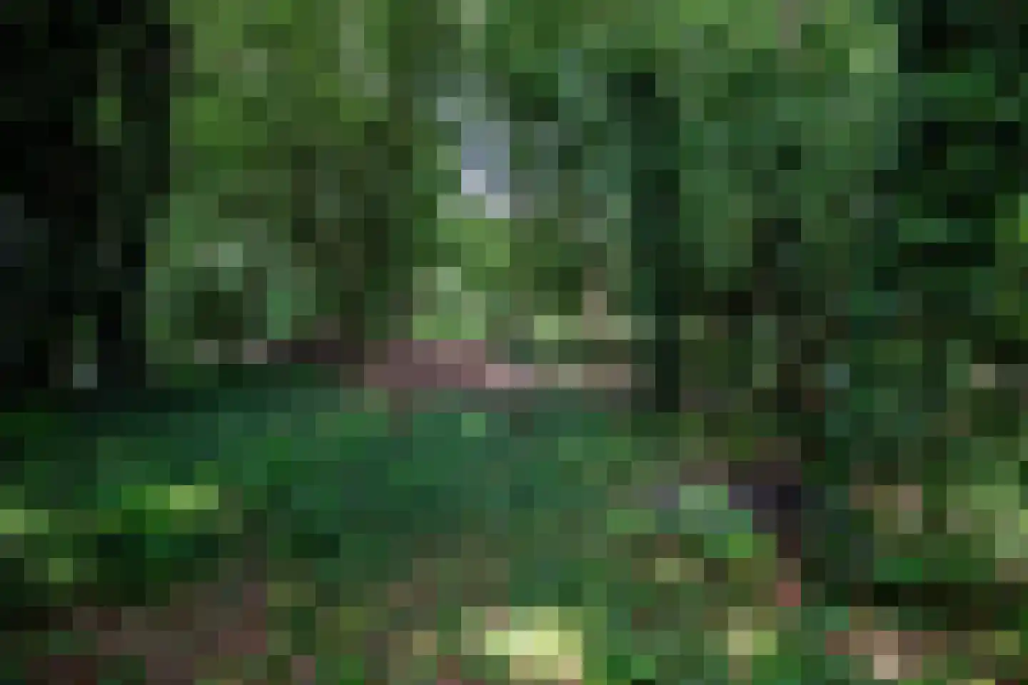 Vonkslaan 37 A Bellingwolde thumbnail 4