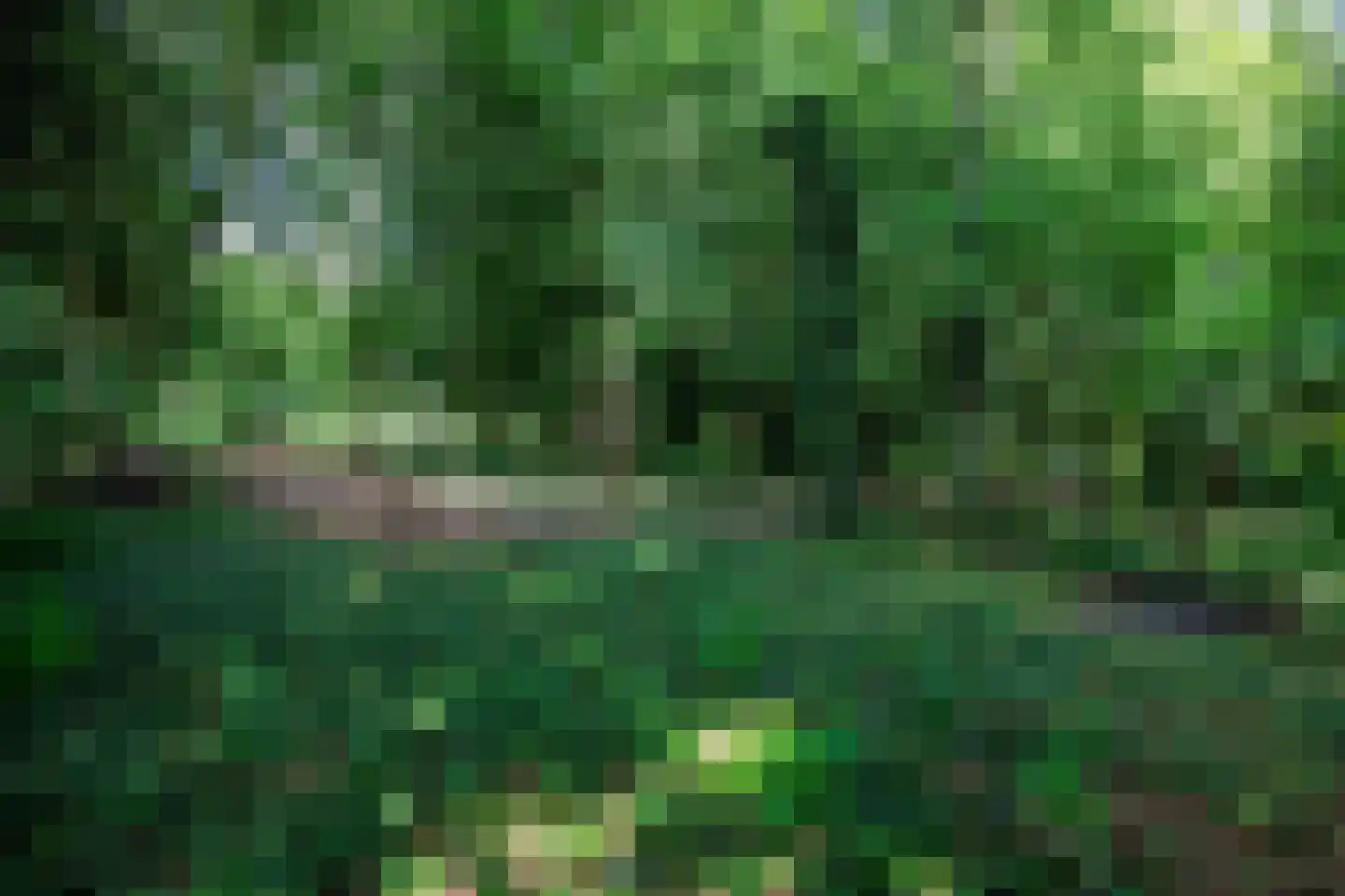 Vonkslaan 37 A Bellingwolde thumbnail 5