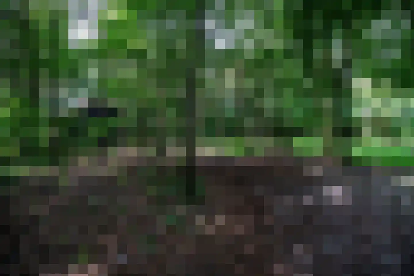 Vonkslaan 37 A Bellingwolde thumbnail 6