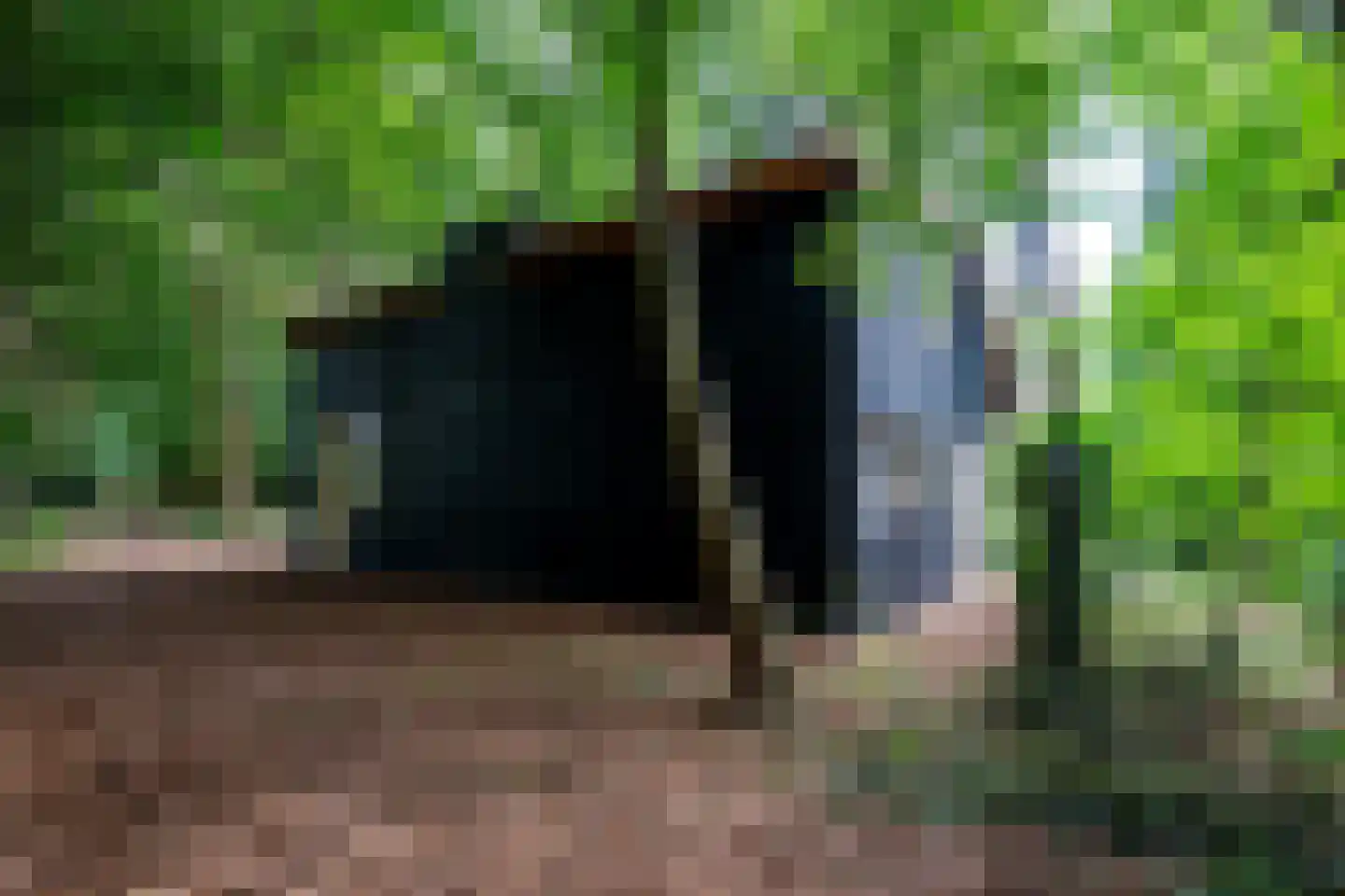 Vonkslaan 37 A Bellingwolde thumbnail 7