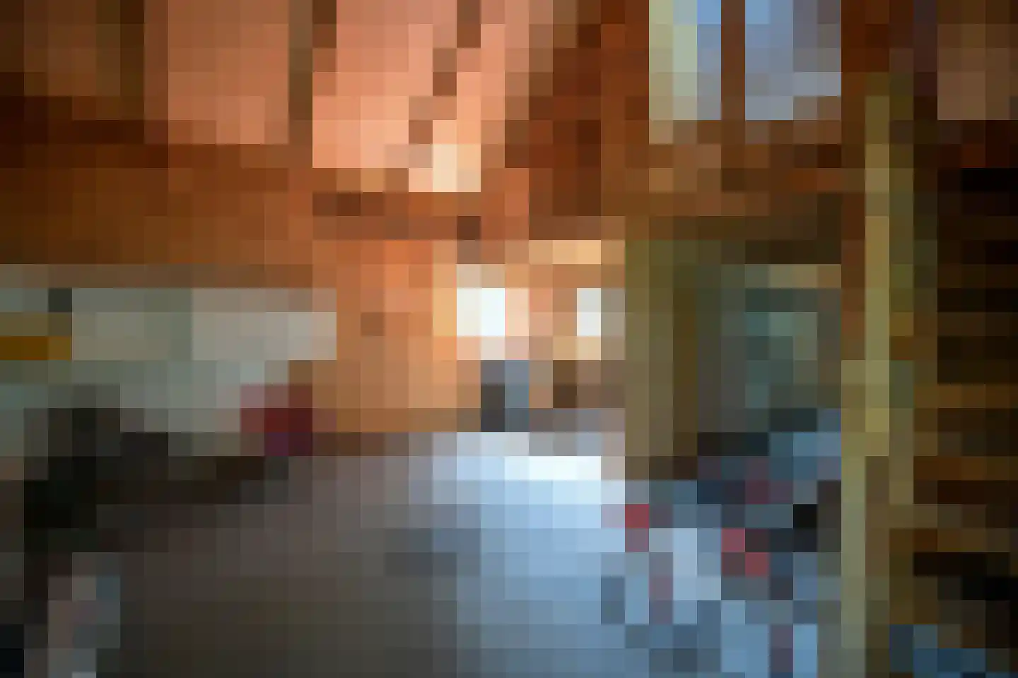 Vonkslaan 37 A Bellingwolde thumbnail 8
