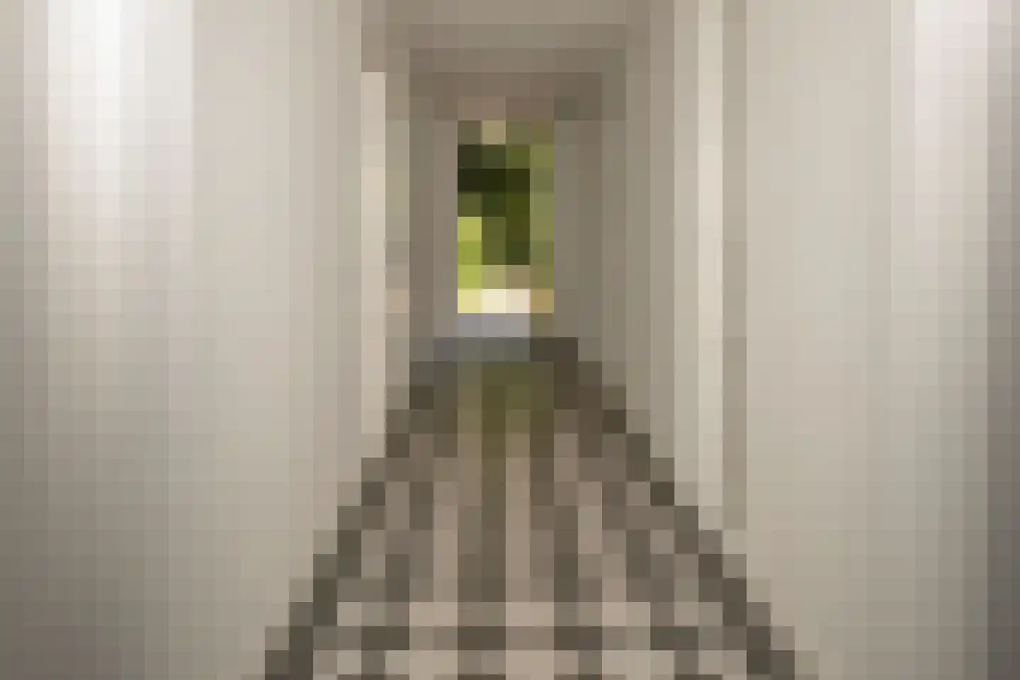 Vonkslaan 37 Bellingwolde thumbnail 12