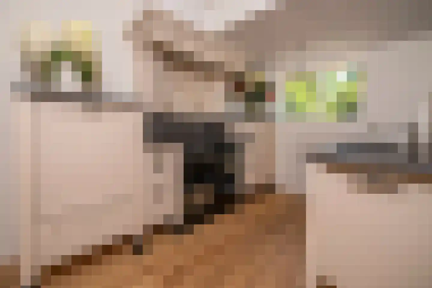 Vonkslaan 37 Bellingwolde thumbnail 15