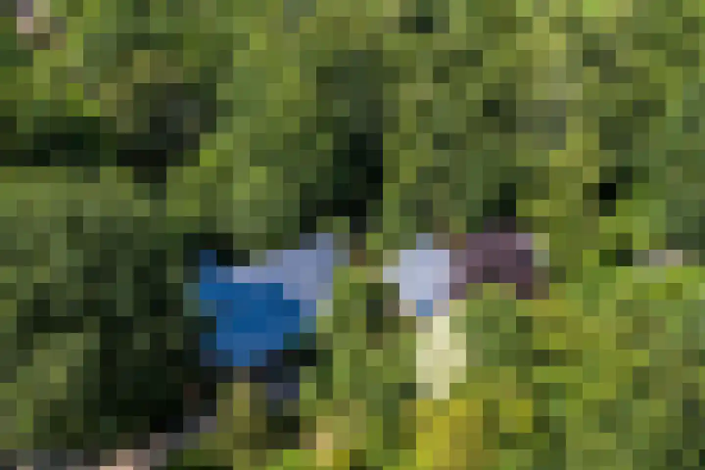 Vonkslaan 37 Bellingwolde foto 2