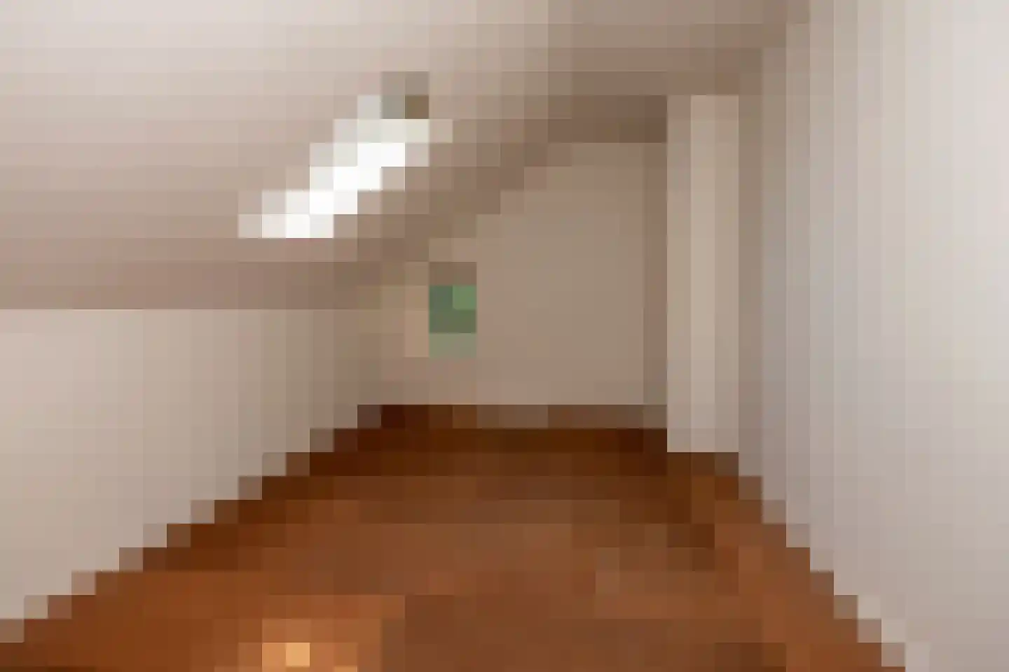 Vonkslaan 37 Bellingwolde thumbnail 31