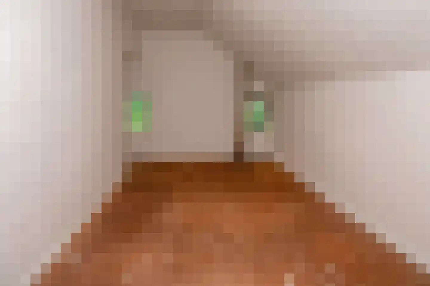 Vonkslaan 37 Bellingwolde thumbnail 32
