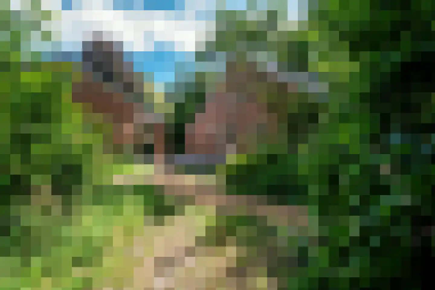 Vonkslaan 37 Bellingwolde thumbnail 33