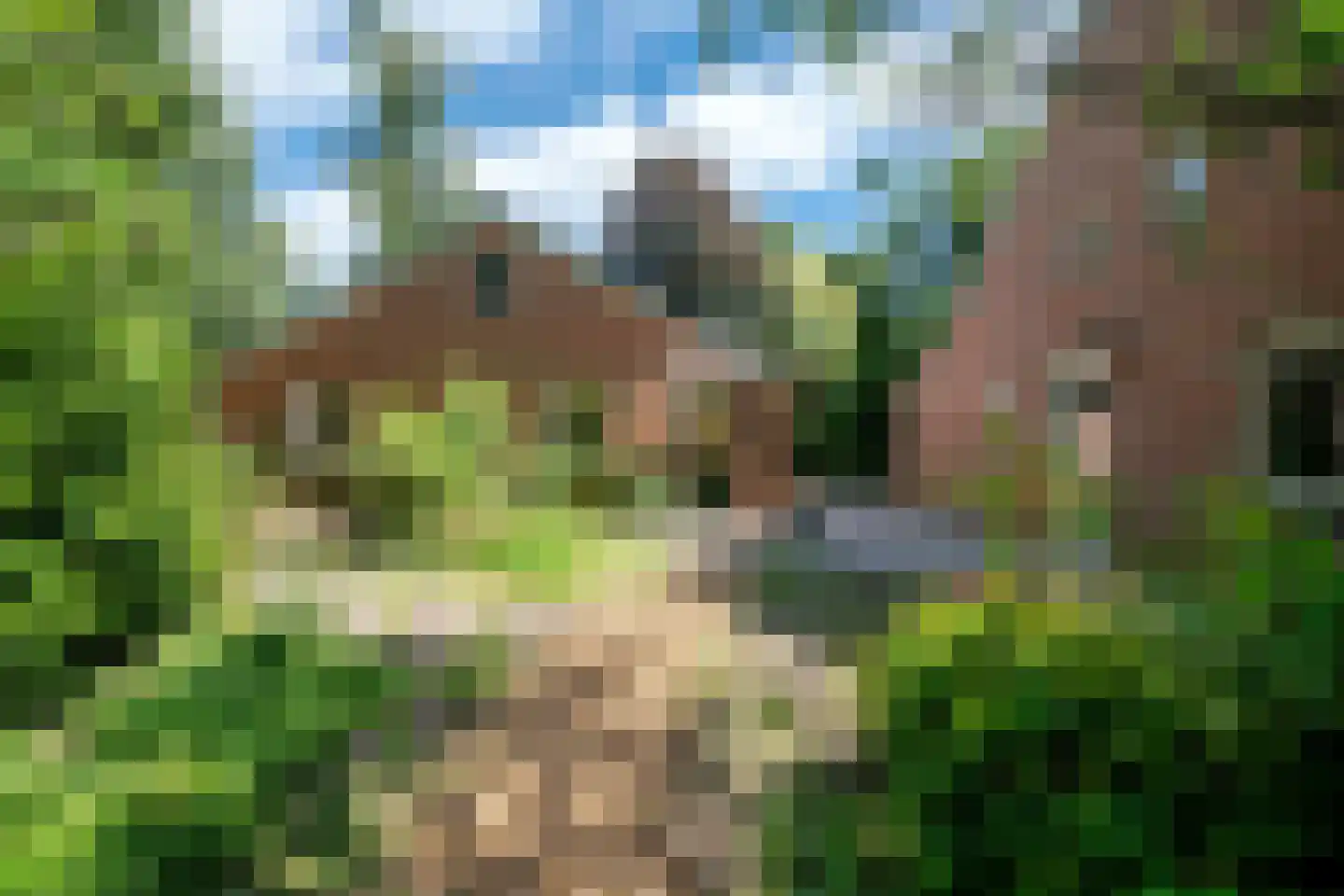 Vonkslaan 37 Bellingwolde thumbnail 34