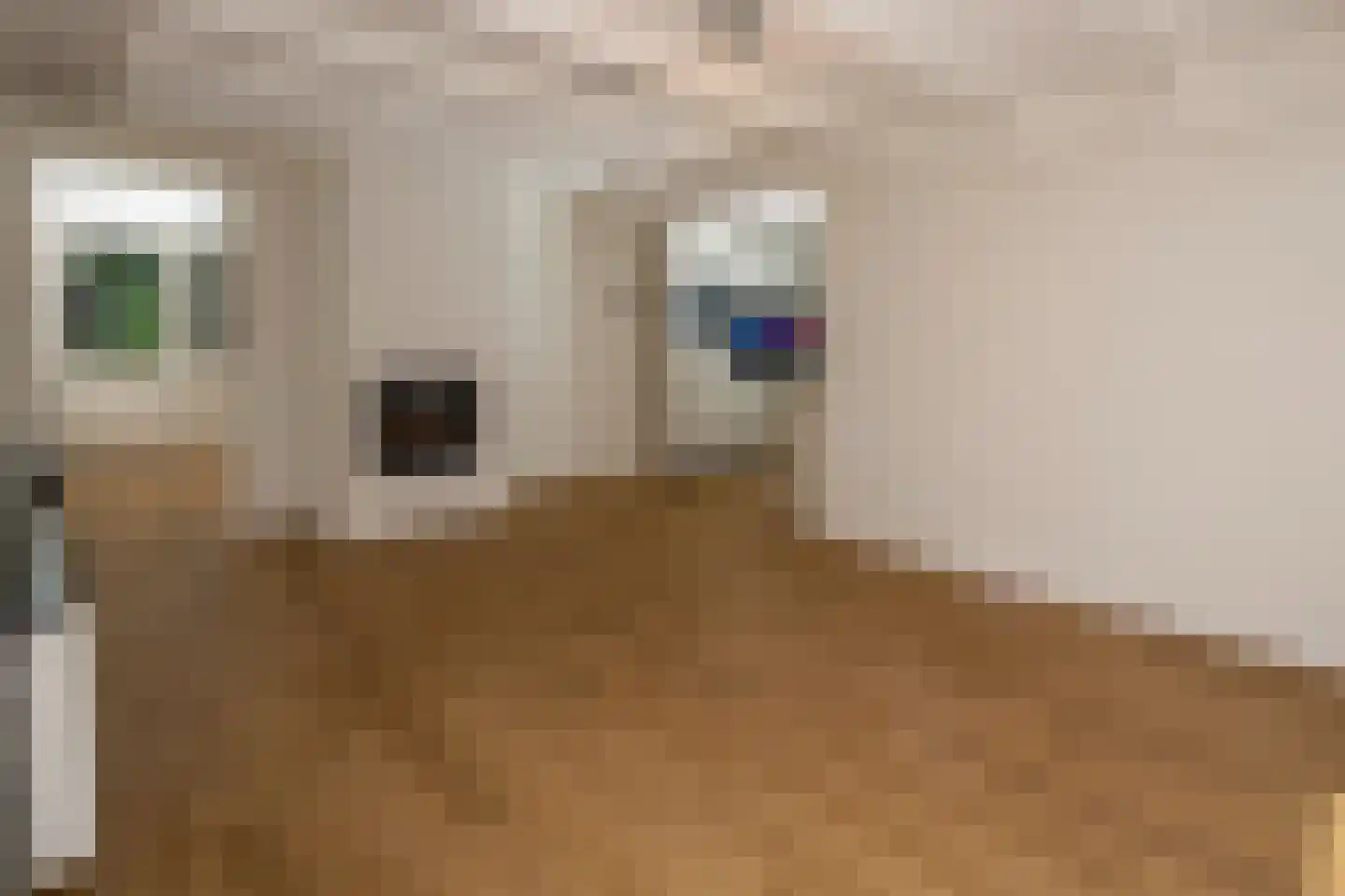 Vonkslaan 37 Bellingwolde thumbnail 36