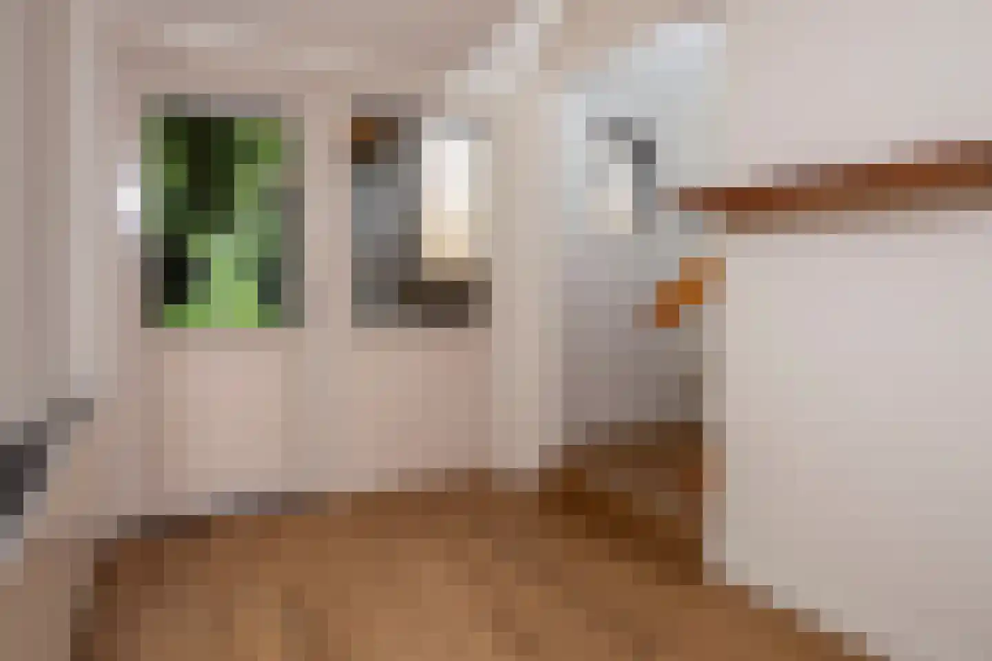Vonkslaan 37 Bellingwolde thumbnail 39