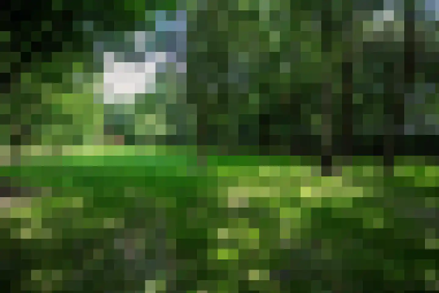 Vonkslaan 37 Bellingwolde thumbnail 4