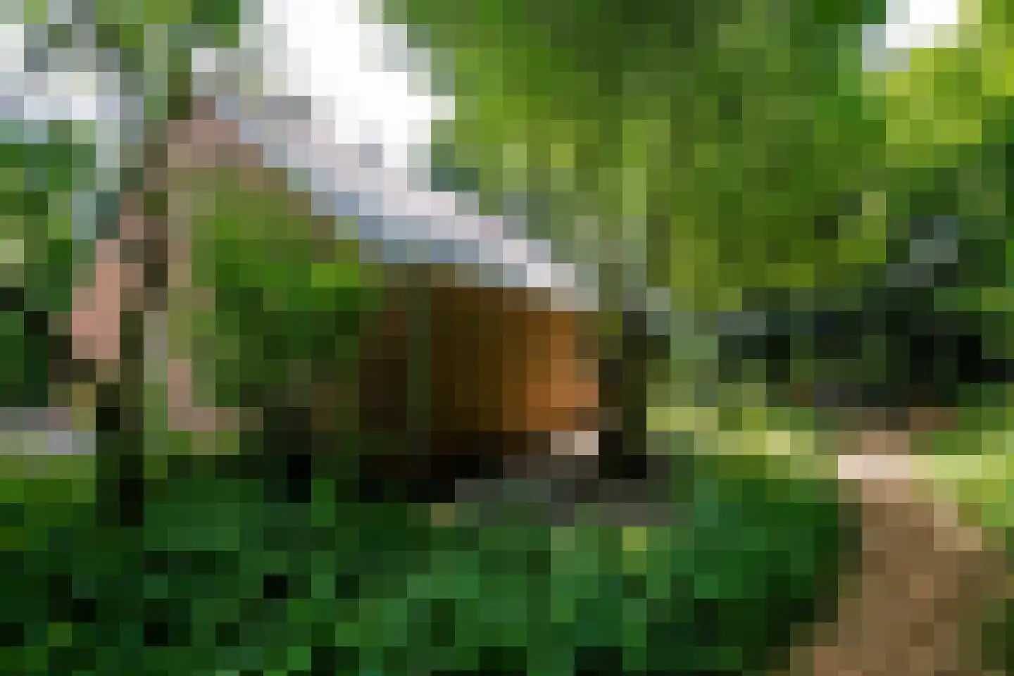 Vonkslaan 37 Bellingwolde thumbnail 43