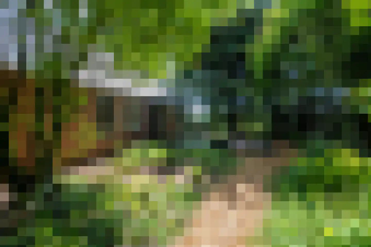 Vonkslaan 37 Bellingwolde thumbnail 44