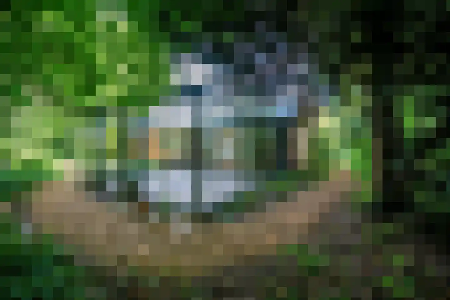 Vonkslaan 37 Bellingwolde thumbnail 46