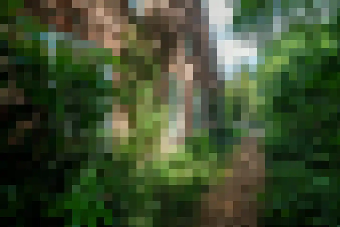 Vonkslaan 37 Bellingwolde thumbnail 48