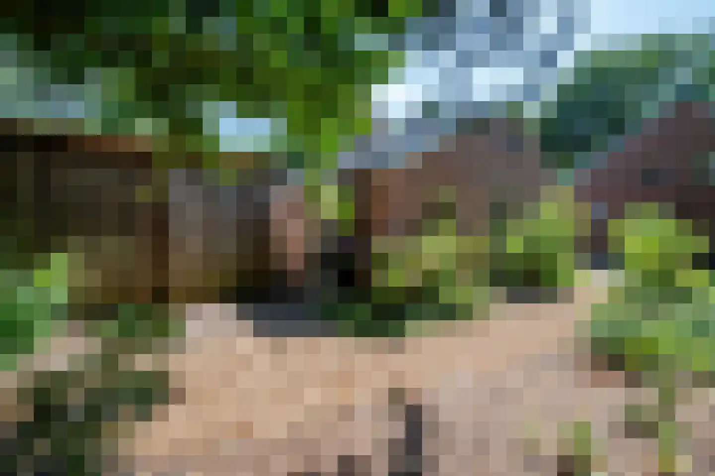 Vonkslaan 37 Bellingwolde thumbnail 5