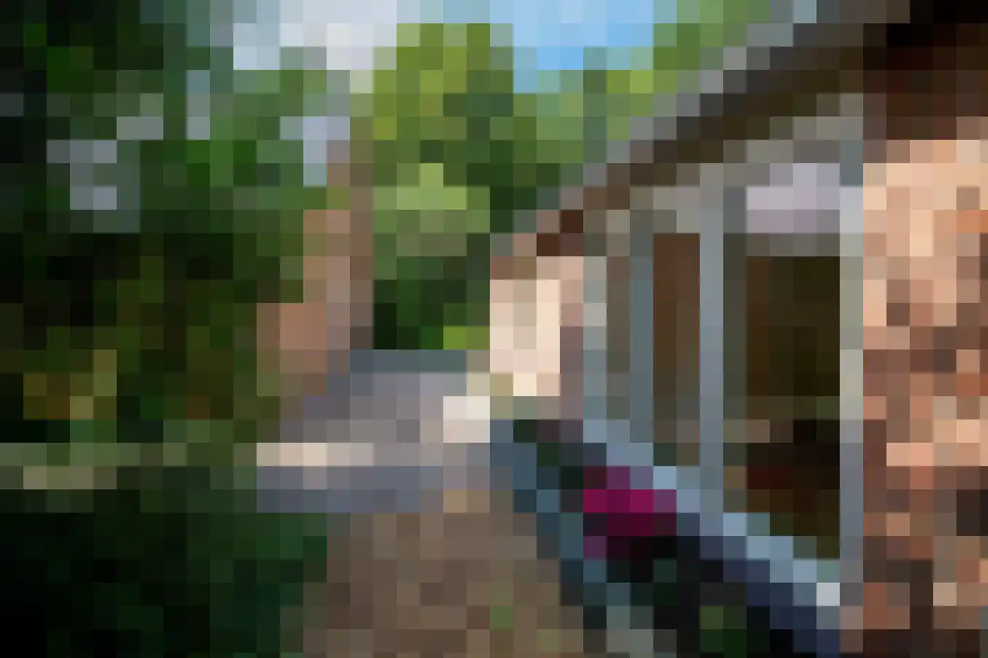 Vonkslaan 37 Bellingwolde thumbnail 50