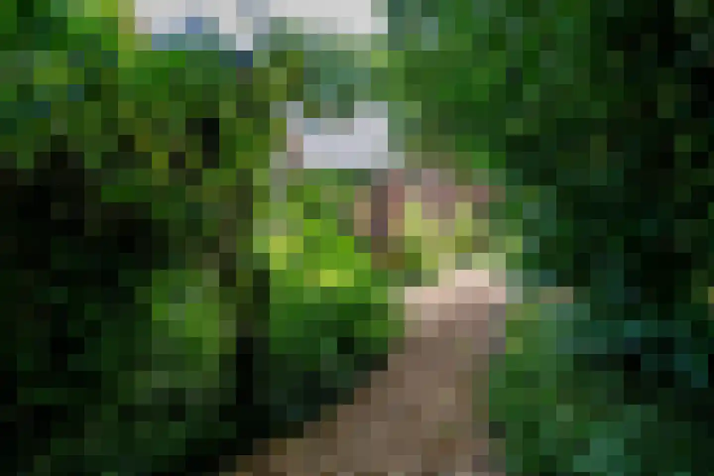 Vonkslaan 37 Bellingwolde thumbnail 52