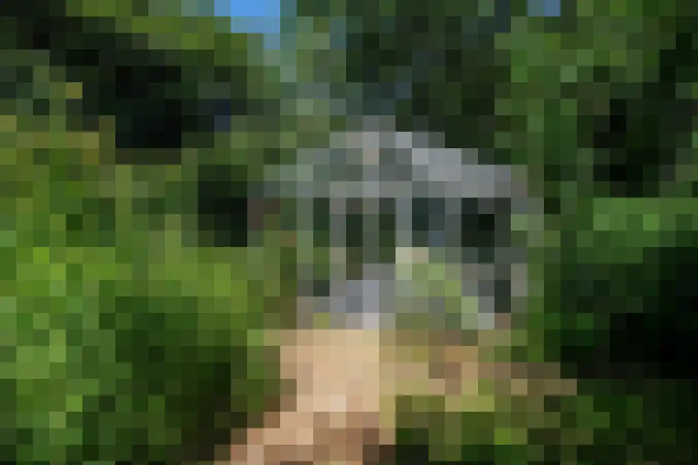 Vonkslaan 37 Bellingwolde thumbnail 53