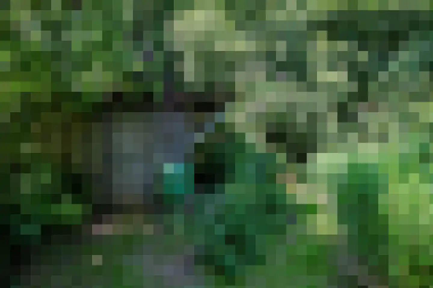 Vonkslaan 37 Bellingwolde thumbnail 55