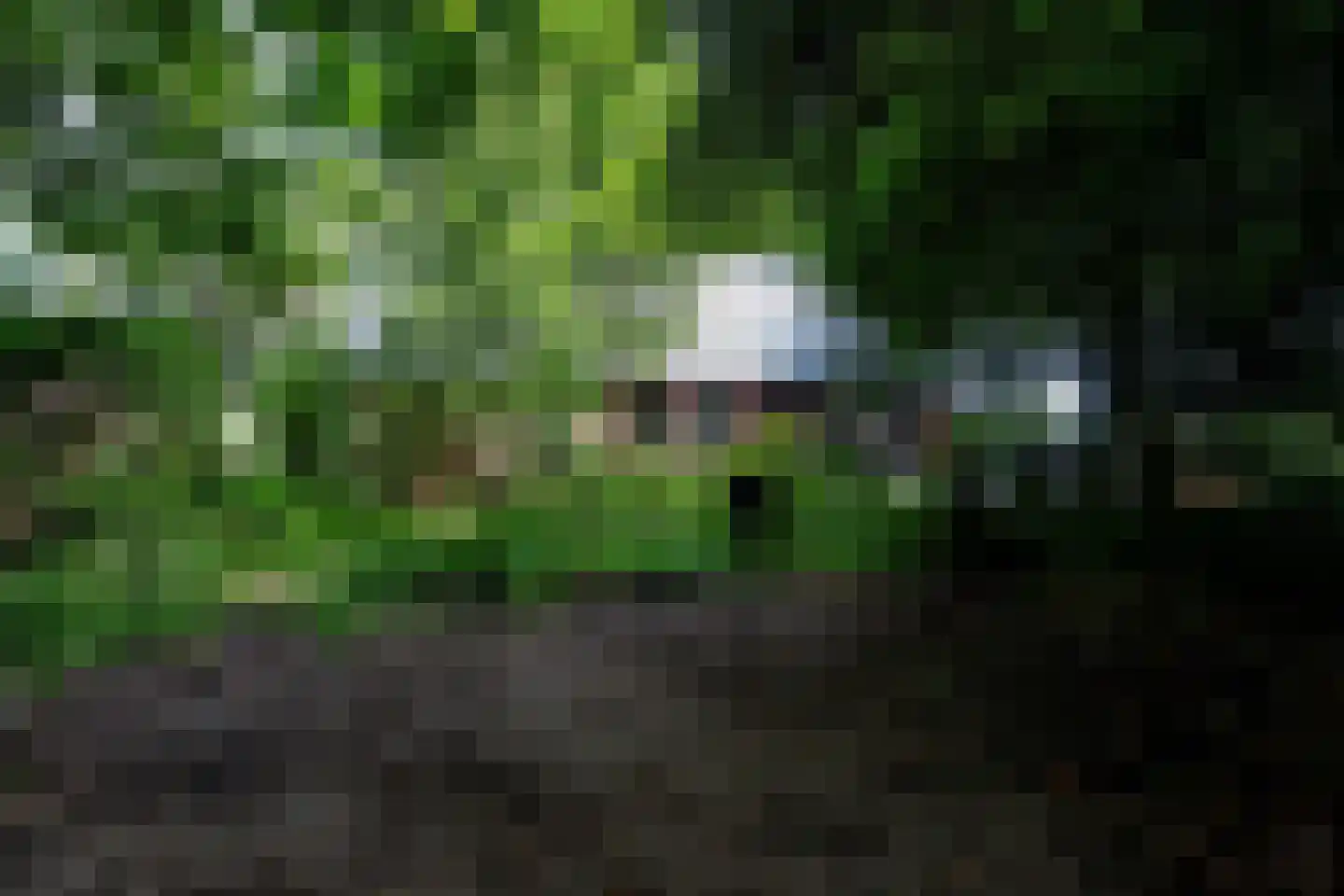 Vonkslaan 37 Bellingwolde thumbnail 59