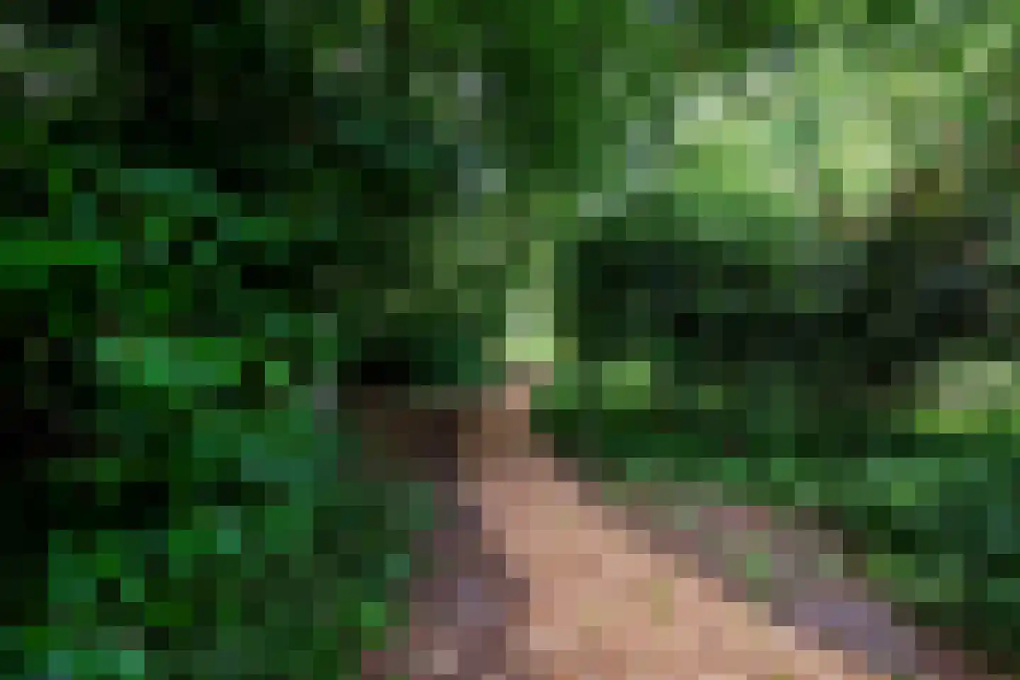 Vonkslaan 37 Bellingwolde thumbnail 60
