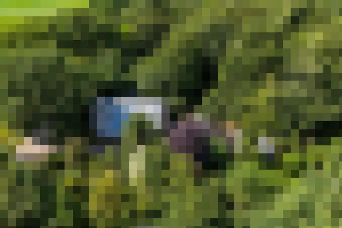 Vonkslaan 37 Bellingwolde thumbnail 61