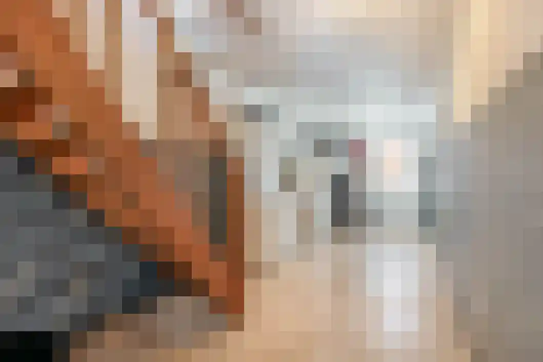 Vonkslaan 47 Bellingwolde thumbnail 11
